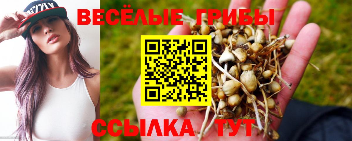 Галлюциногенные грибы мицелий  Вход с VPN  Галлюциногенные грибы прущие грибы  Протвино 